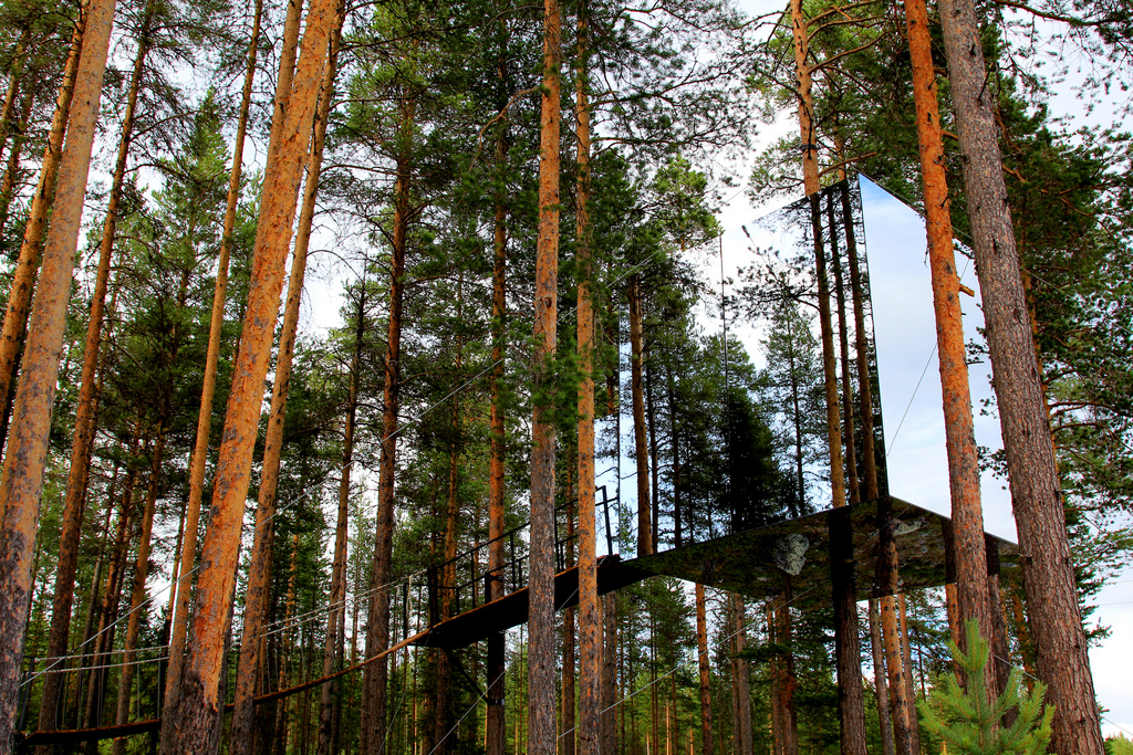 Top 7 Tree Houses from around the World