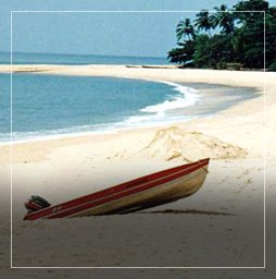 Cheap flights 2020/2021 | Search and book flight tickets