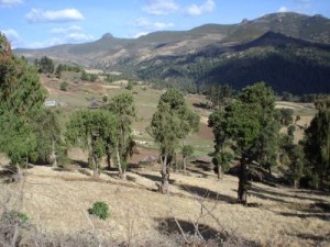 Bale Mountain National Park Ethiopia Bale Mountain National Park Ethiopia