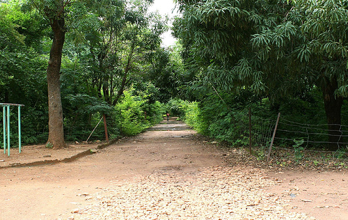 Bamako Botanical Gardens