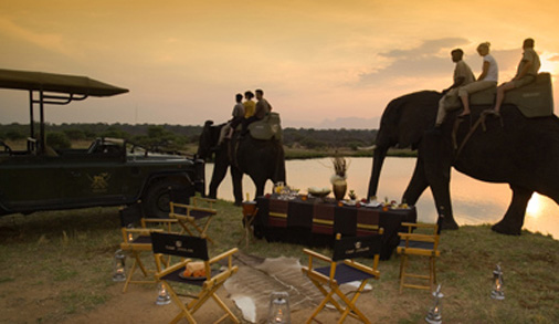 Elephant Safari with Camp Jabulani South Africa