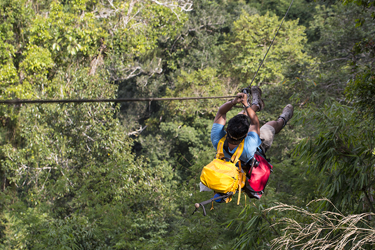 Costa Rica Forest A man ziplines through the forest in Costa Rica