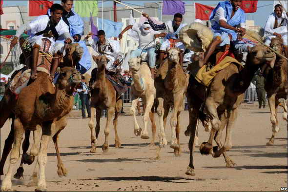 Dakhla Festival Morocco Dakhla Festival Morocco