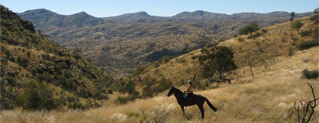 Equitrails Namibia Horse riding Equitrails Namibia