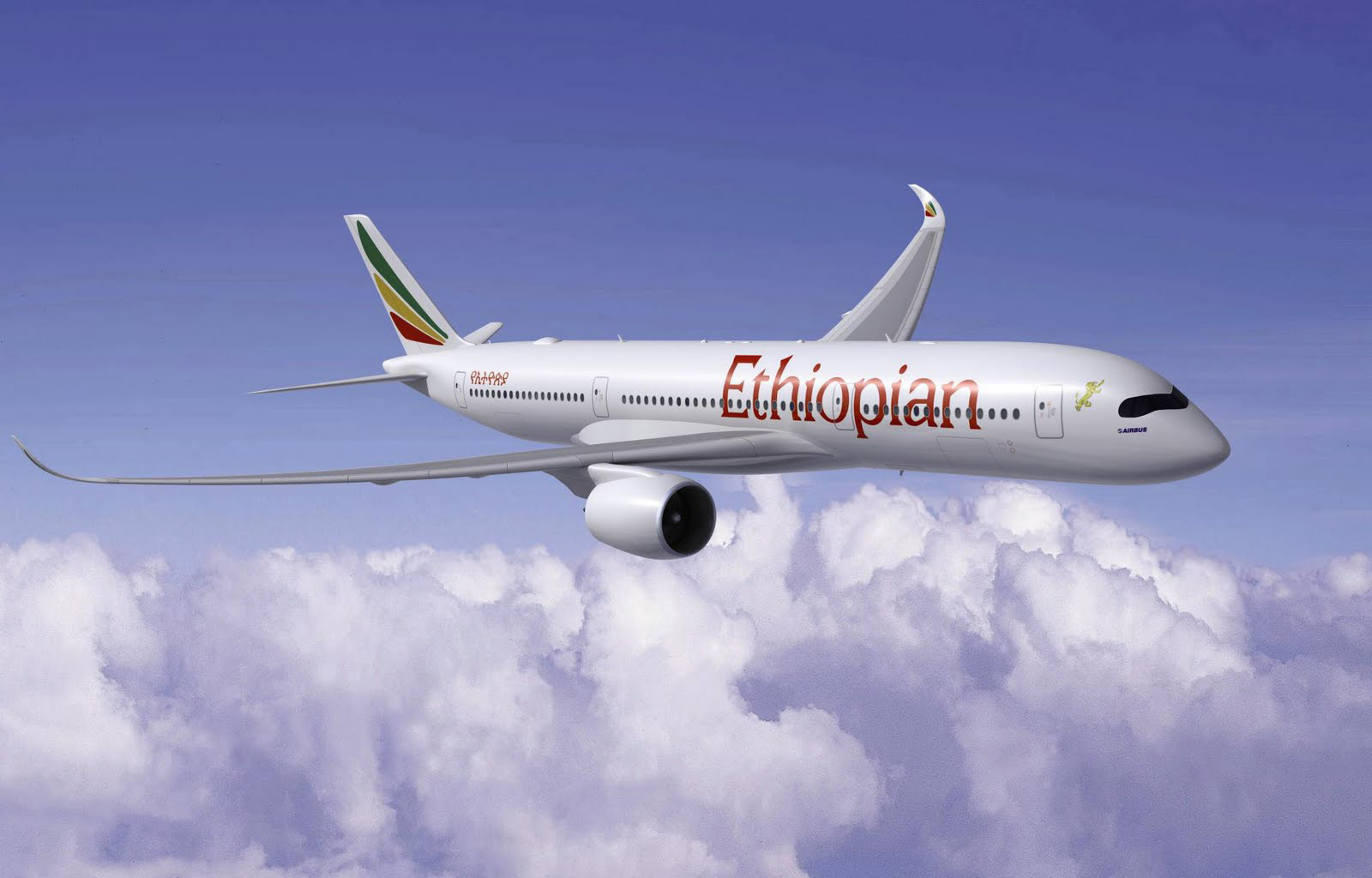 Ethiopian Airlines Plane flying