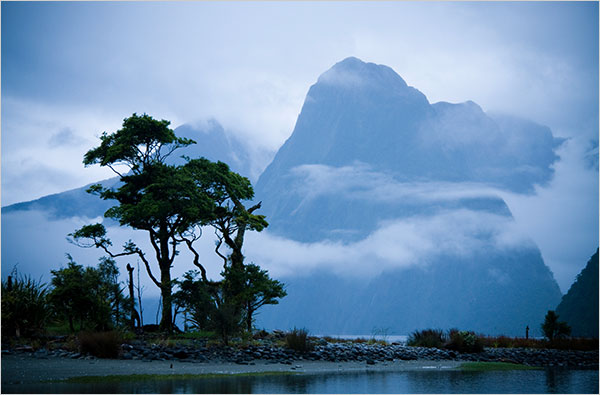 Fiordland National Park New Zealand