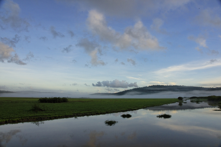 Marshes Kaw in French Guyana