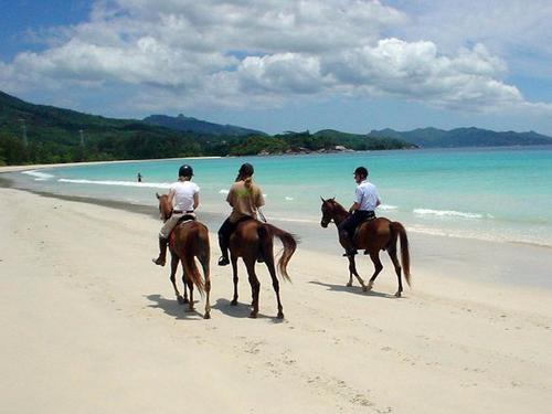 Horse Riding in Seychelles