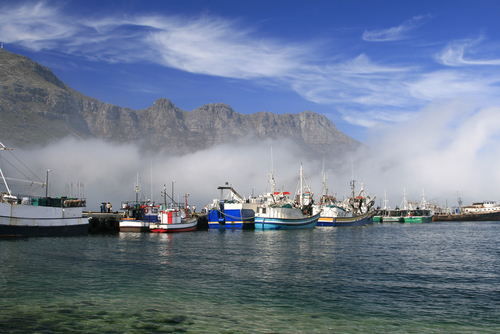 Hout Bay Boats Cape Town