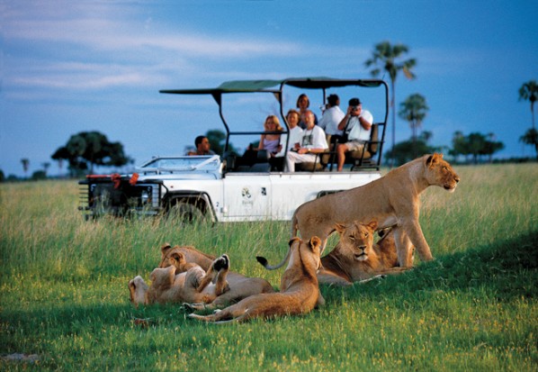 Hwange National Park Zimbabwe Safari