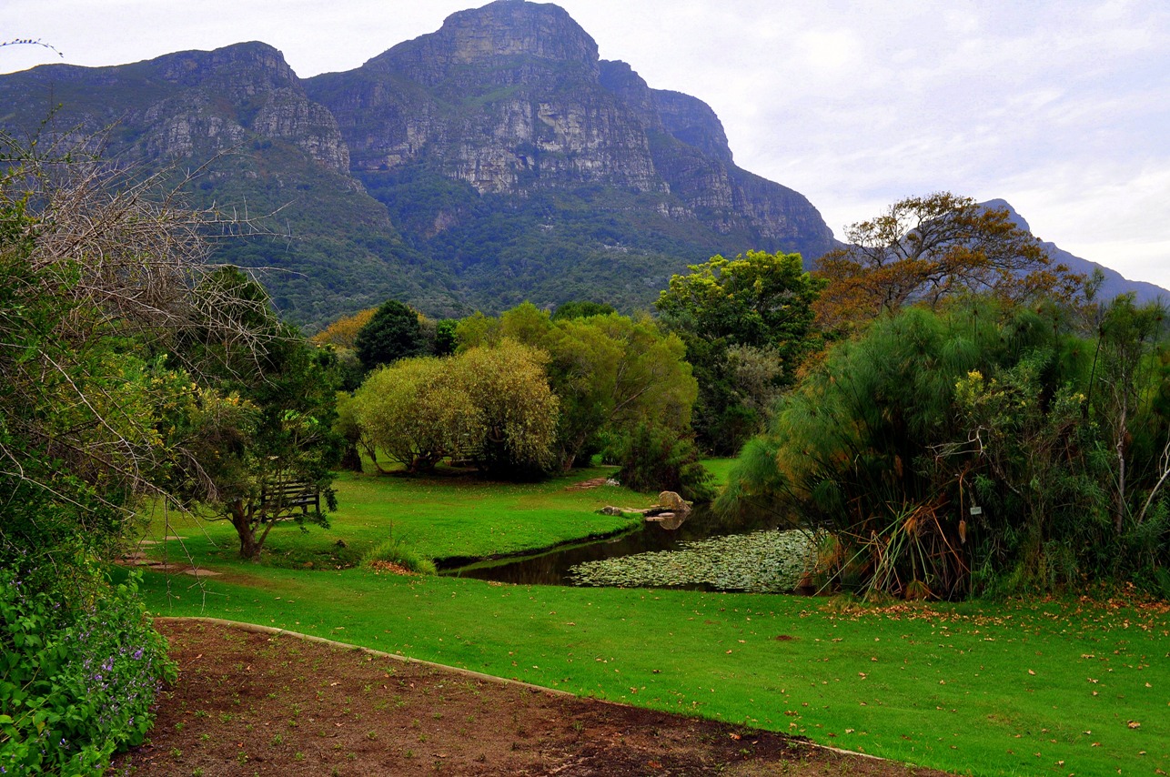 Johannesburg Botanical Gardens South Africa