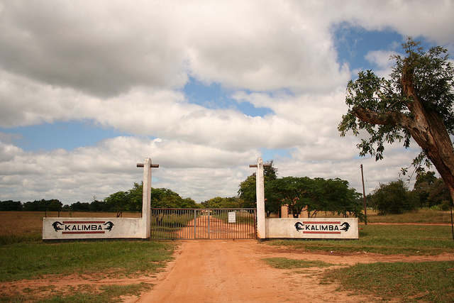 Kalimba Reptile Park Lusaka Entrance