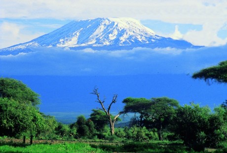 Kilimanjaro National Park Tanzania