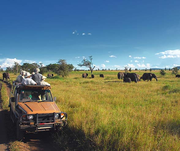 Lower Zambezi National Park Safari Zambia