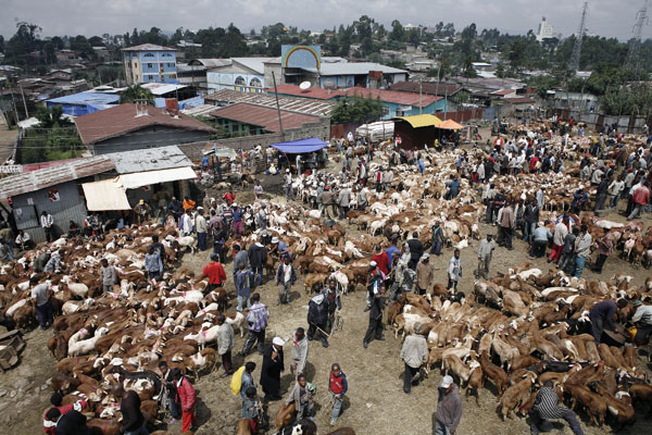 Merkato Market Addis Ababa Ethiopia