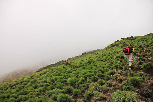 Hiker at Mount Cameroon