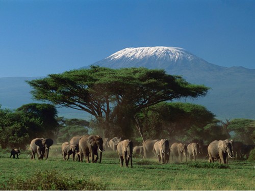 Mount Kilimanjaro National Park Tanzania