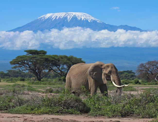 Mt Kilimanjaro Africa