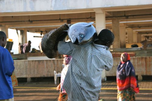 A person carring a fish at Mzizima Fish Market Dar es Salam