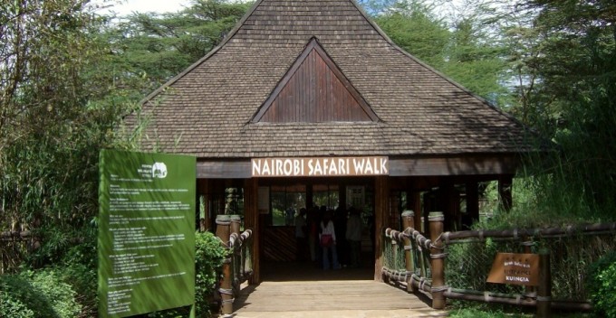 Nairobi-Safari-Walk