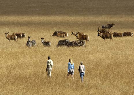 Nyika National Park Malawi