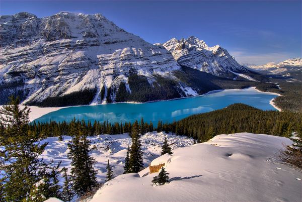 Peyto Lake Canada