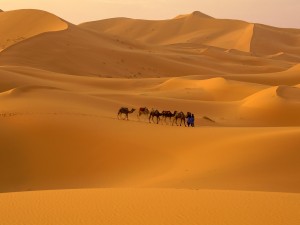 View of the Sahara Desert in Morocco
