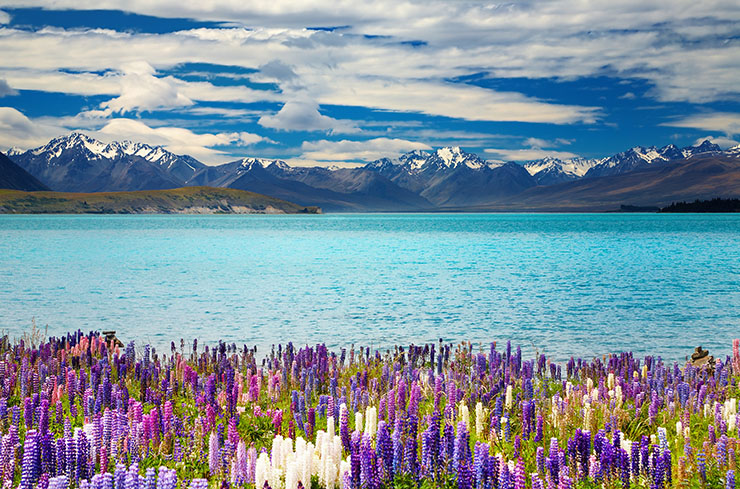 South Island New Zealand Lake Tekapo, South Island, New Zealand