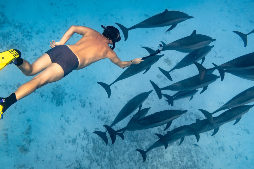 The-Activities-and-Excursions - Latest flights and Travel news Man is swimming with fishes