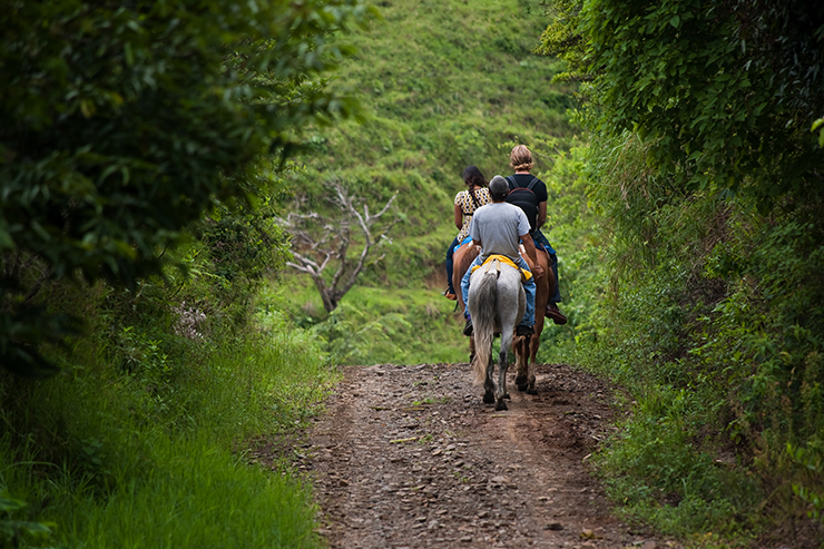Tourists on Horseback Costa Rica Tourists on horseback in Costa Rican cloud forest