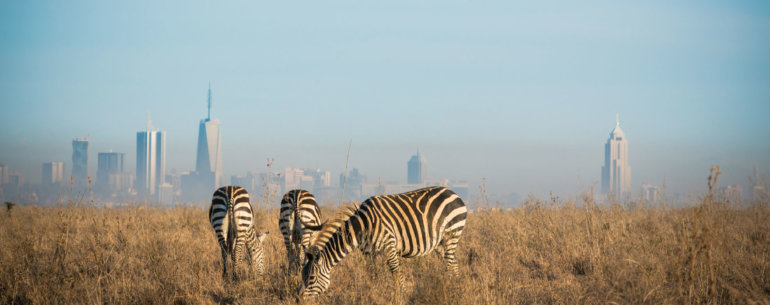 National Park in Nairobi