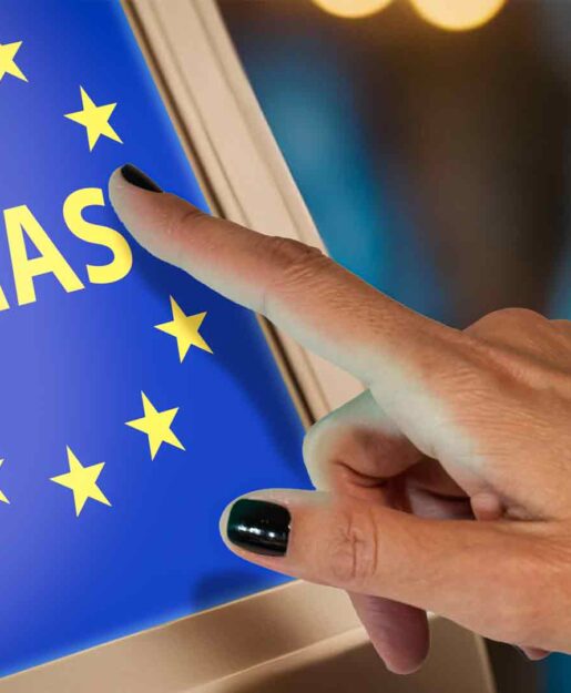 ESS (Entry and Exit System)