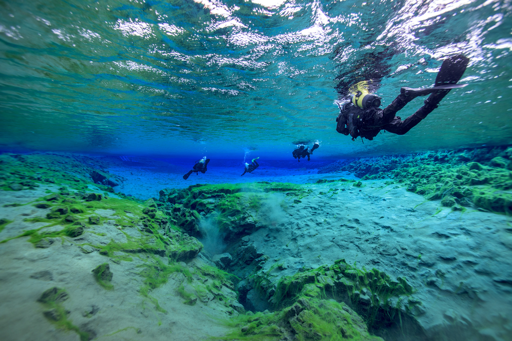 shutterstock_299902547