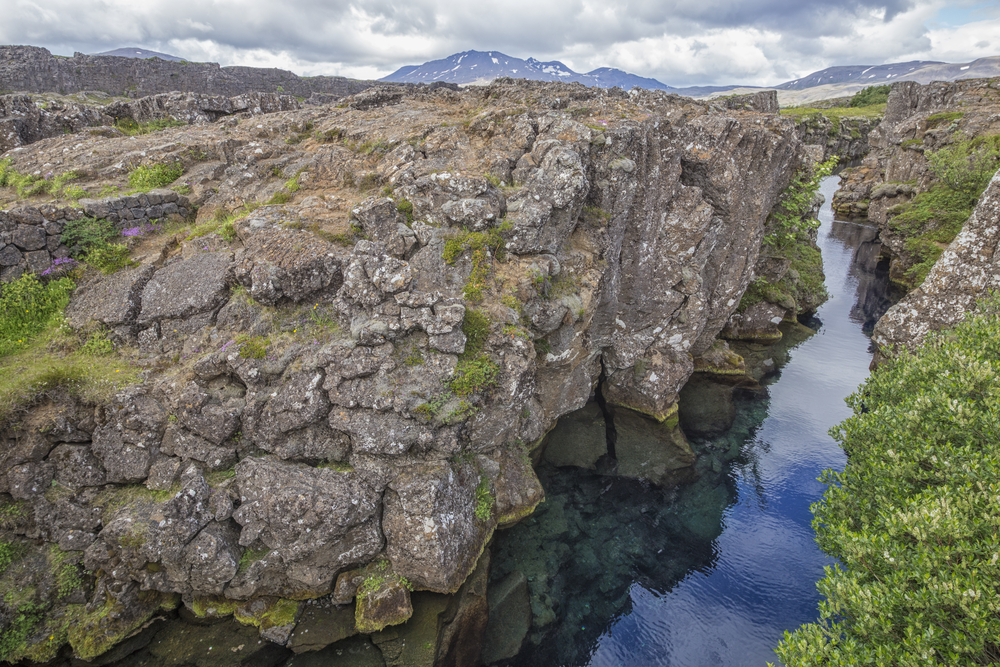 shutterstock_310733285