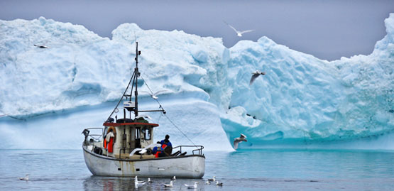 Cheap Flight to Greenland