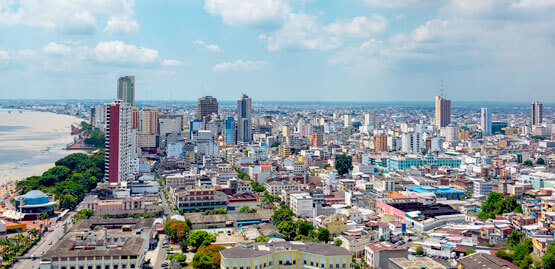 cheap flights to guayaquil